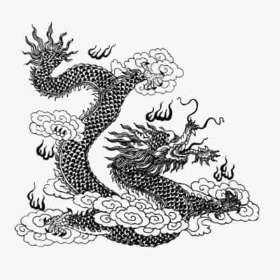 Dragon Trades Official Icon